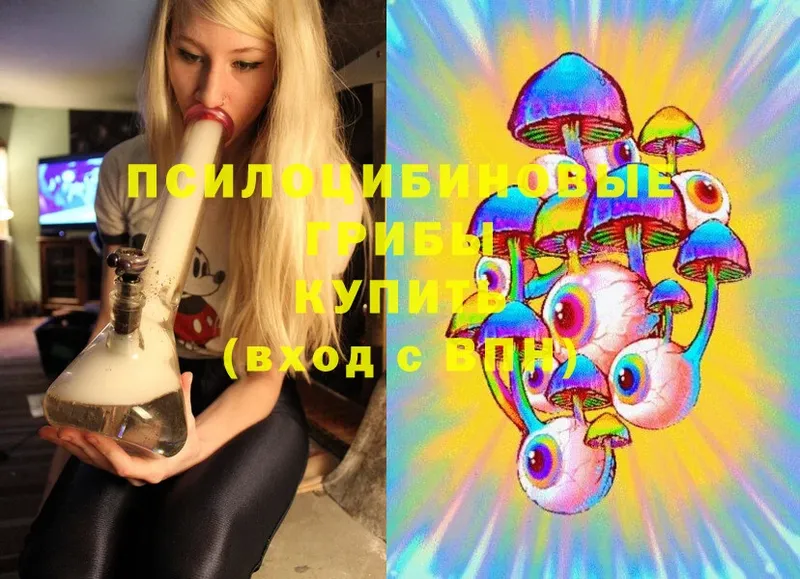 Псилоцибиновые грибы MAGIC MUSHROOMS  даркнет сайт  Чебоксары 